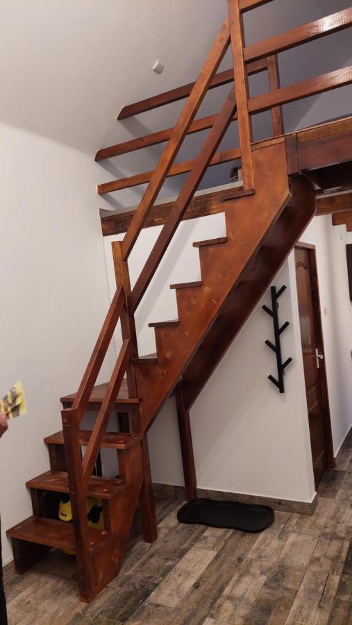Casa Noua Villa Sasca Montană Dış mekan fotoğraf
