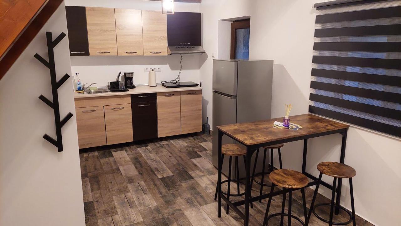 Casa Noua Villa Sasca Montană Dış mekan fotoğraf