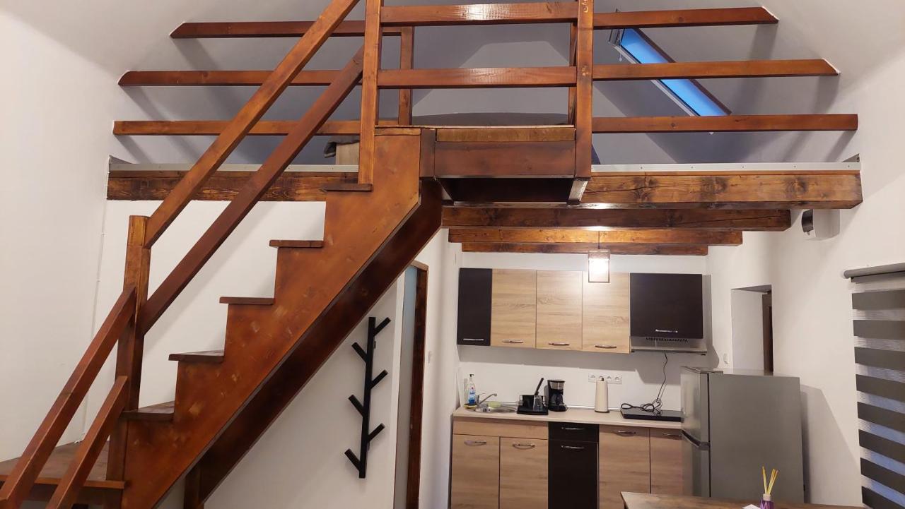 Casa Noua Villa Sasca Montană Dış mekan fotoğraf