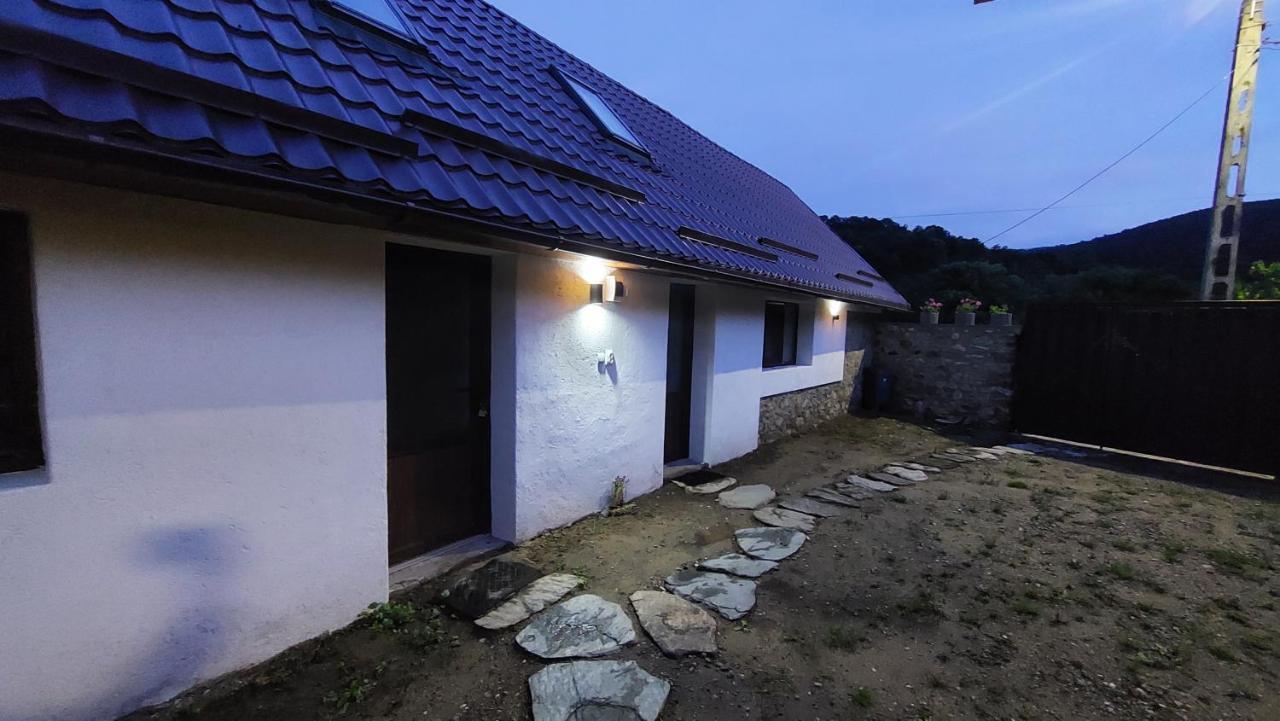 Casa Noua Villa Sasca Montană Dış mekan fotoğraf
