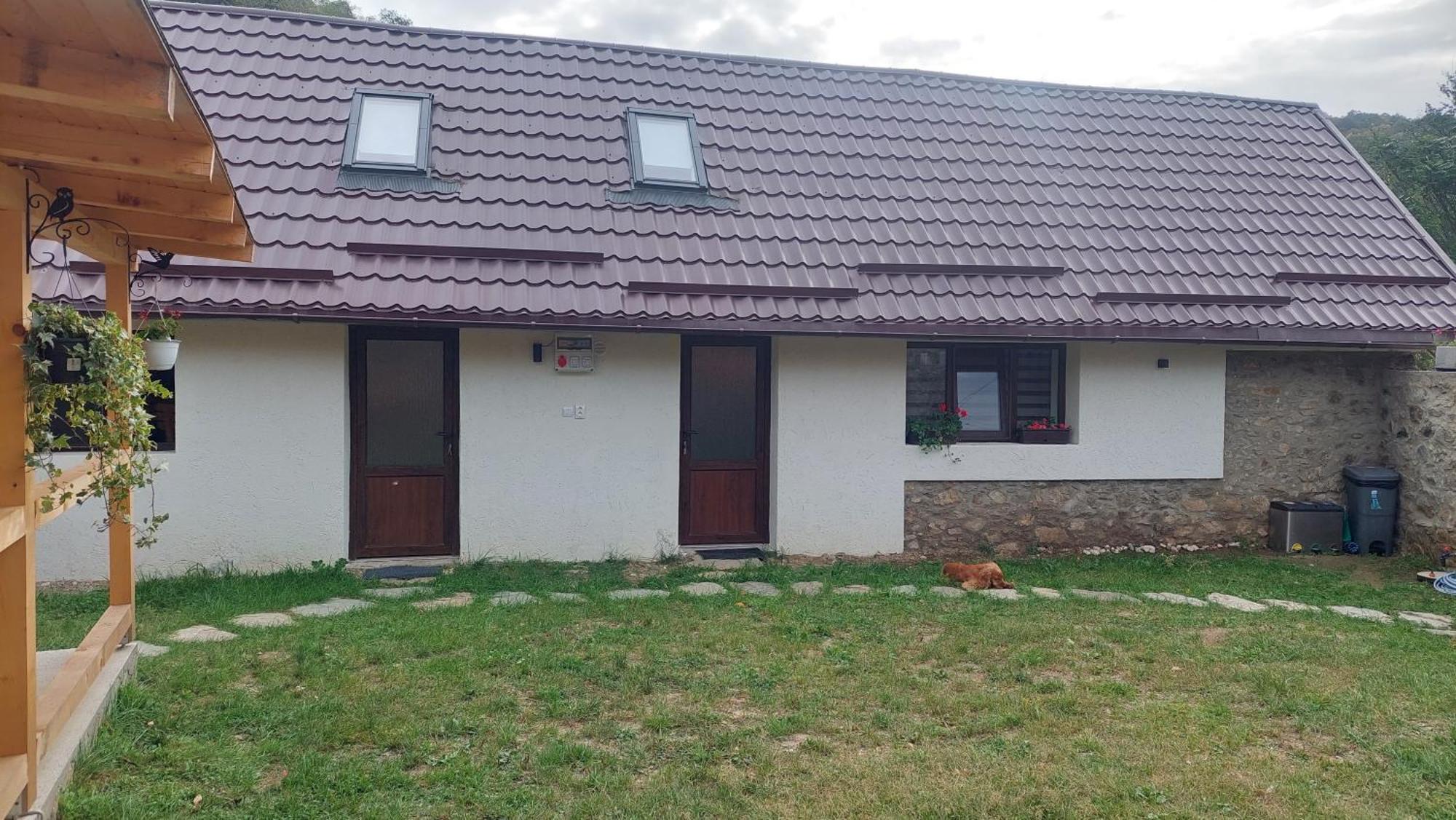 Casa Noua Villa Sasca Montană Dış mekan fotoğraf