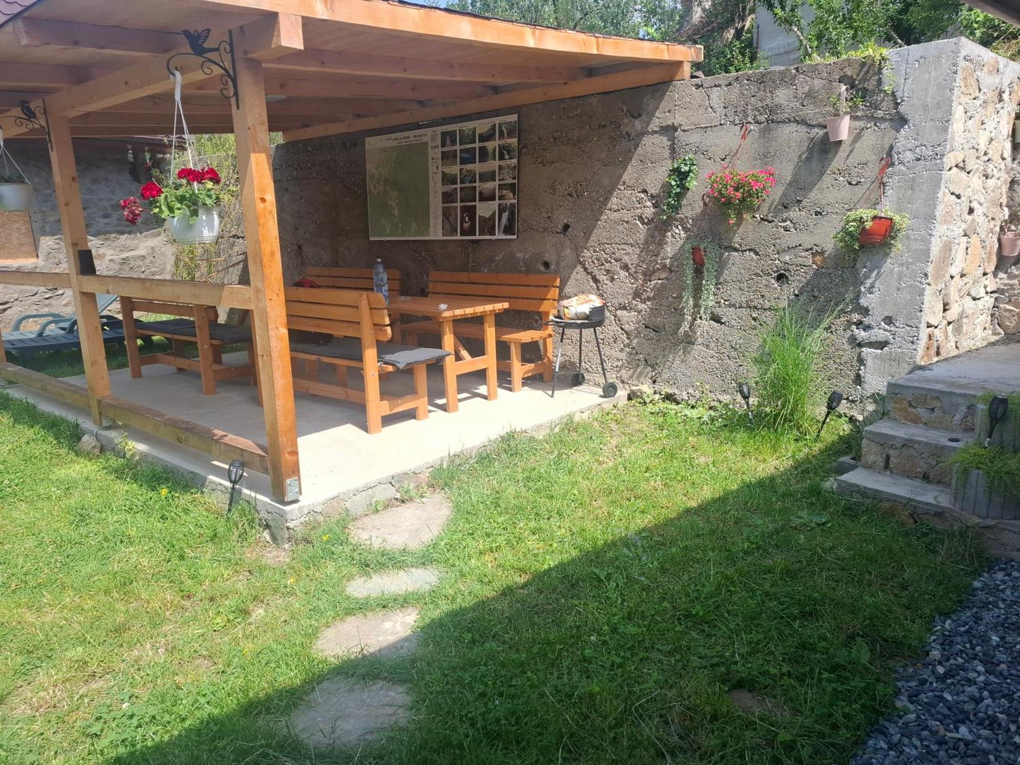 Casa Noua Villa Sasca Montană Dış mekan fotoğraf